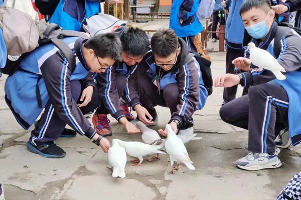 9行走在春季，非遗文化游。 (1)