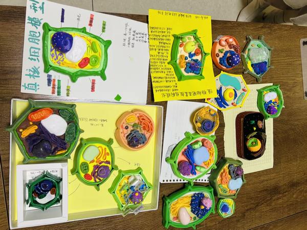 2c6e2d49c0a1727f98dd9cc34c02ec65