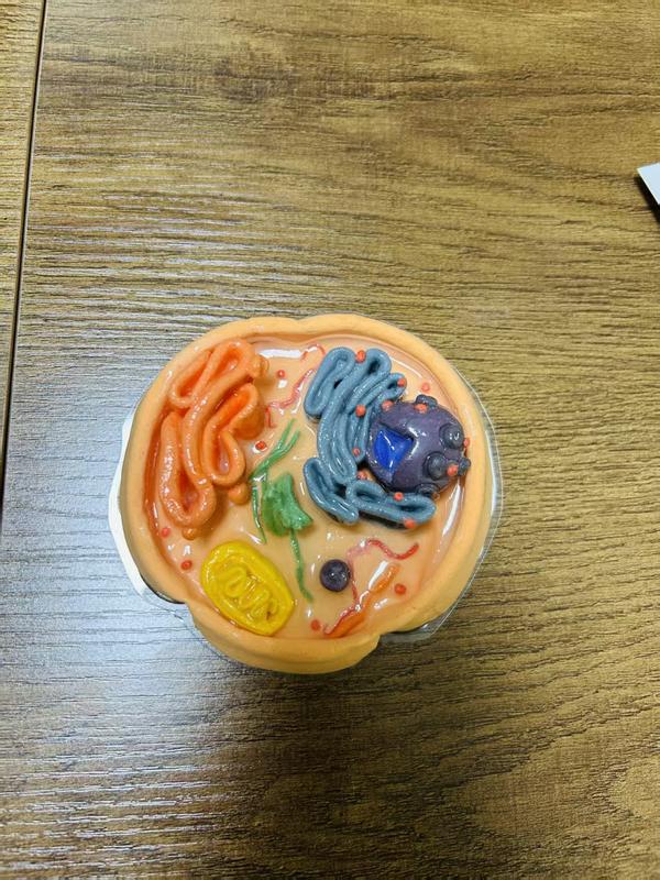 8d92f1ff5af9f921a0d232cd371014ce