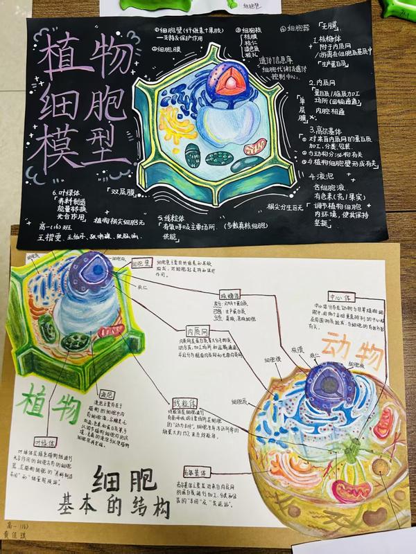 36acc4d393d4980d72f544931d959484