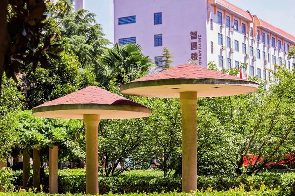 微信图片_2026-02-06_160939_888