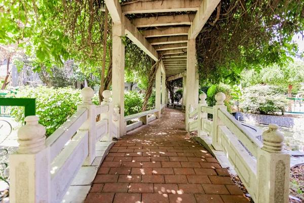 微信图片_2026-02-06_161114_007