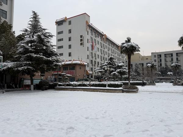 bc33971e2e73547f5a54784bdd78950a