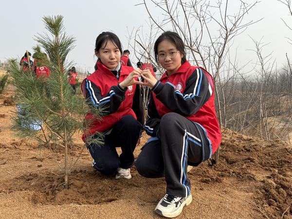 学生植树记录7 学生植树记录7