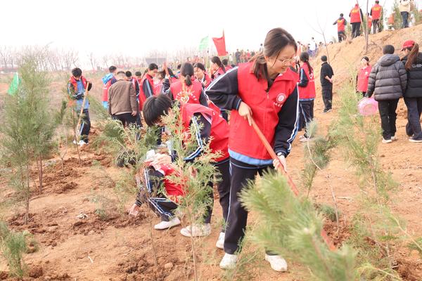 学生植树记录
